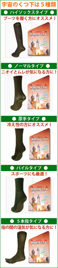 �F���̂����͂T���