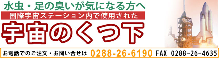 �����A���̏L���A���̂ɂ������C�ɂȂ���ցA���@�ۂ̉F���̂���